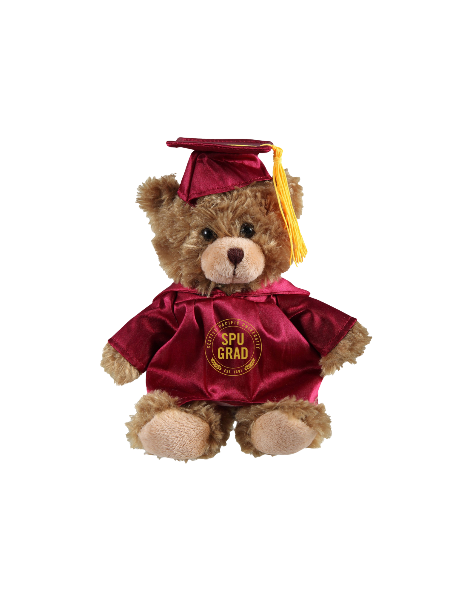 ** Grad Set with Bear and Box, photo 6 of 6